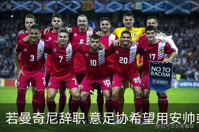若曼奇尼辞职 意足协希望用安帅或卡纳瓦罗替代