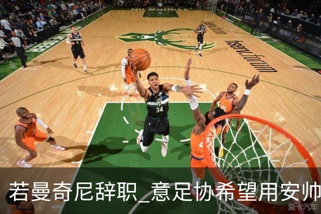 若曼奇尼辞职 意足协希望用安帅或卡纳瓦罗替代
